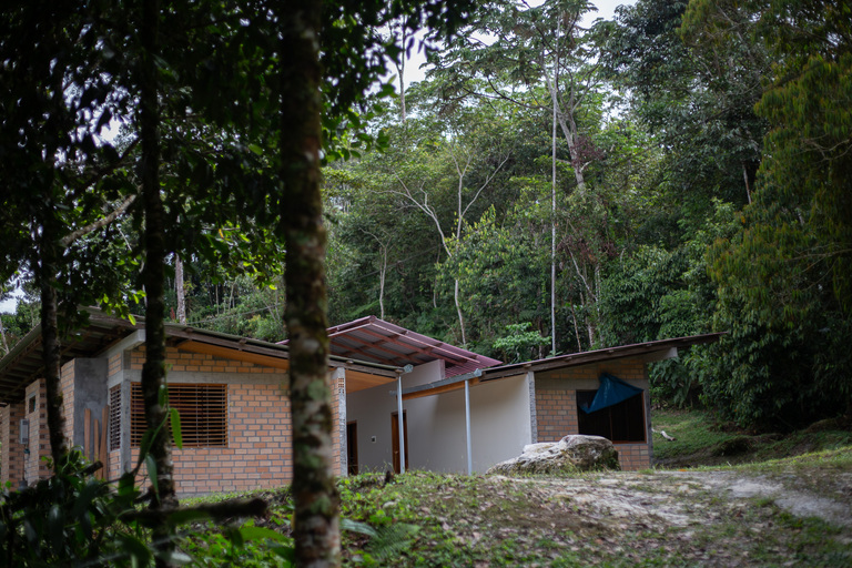 Gestión del BPAM